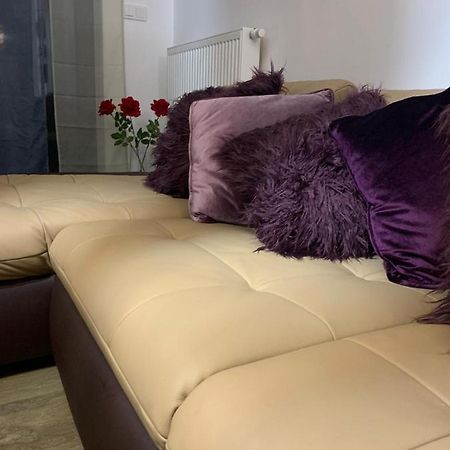 Ive'S Golden Gardenia Seaside Apartment Dziwnów Екстериор снимка